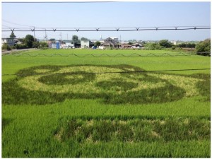 田んぼアート2013